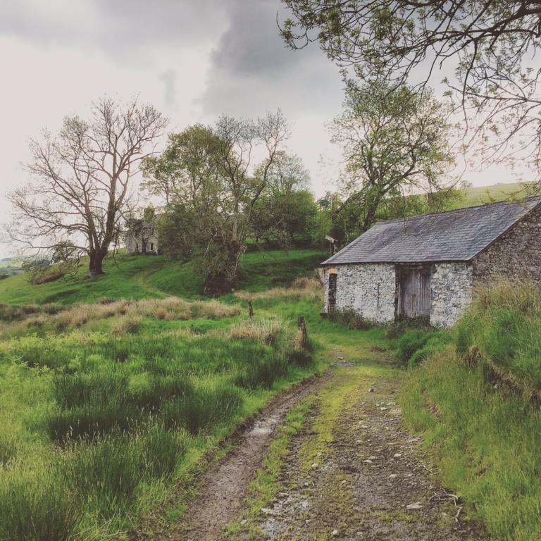 Maes Y Gwaelod Bed & Breakfast Llanwrtyd Wells Eksteriør bilde