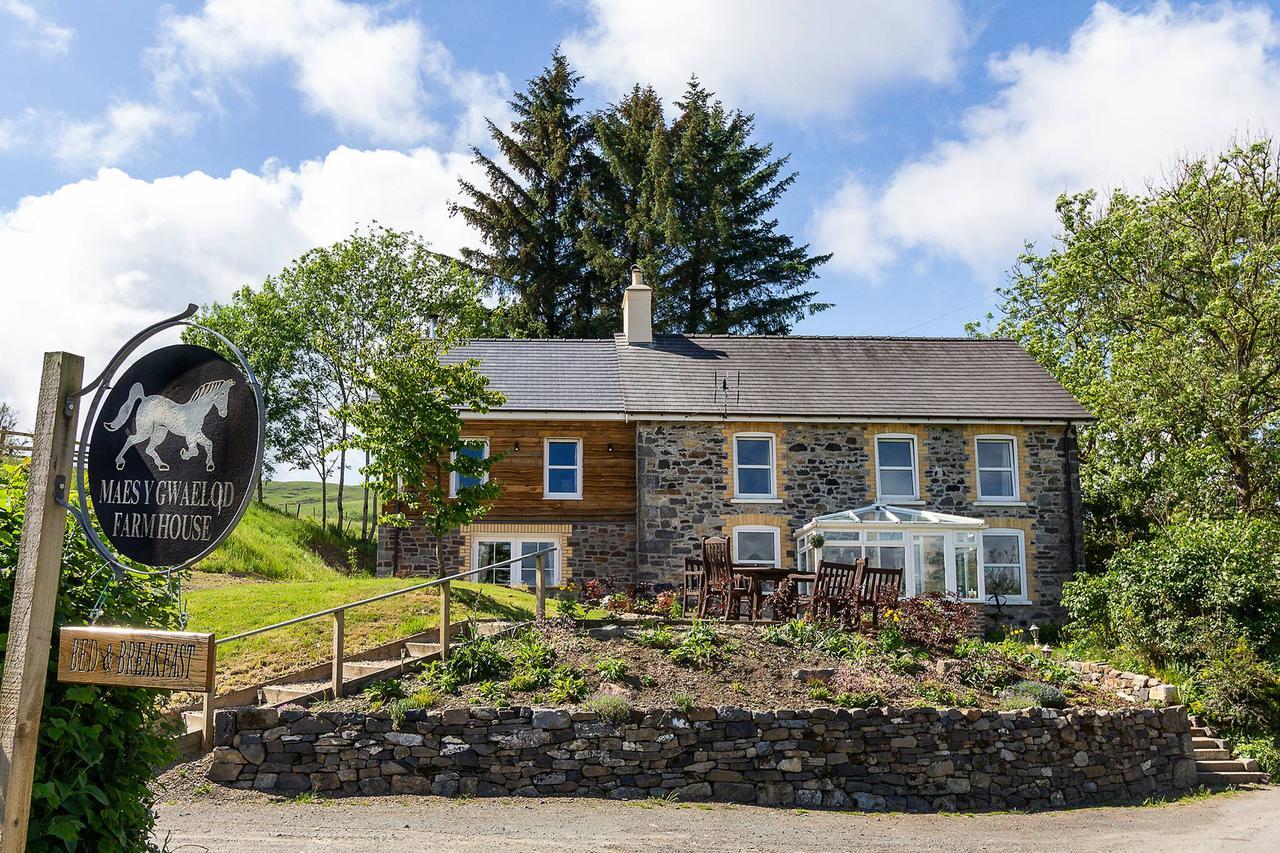 Maes Y Gwaelod Bed & Breakfast Llanwrtyd Wells Eksteriør bilde